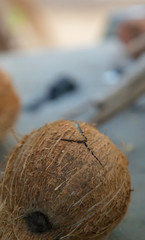 Closeup shot of Focus on coconut bursting on the ground