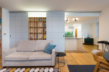 Built-in cabinet with sofa in contemporary living room interior
