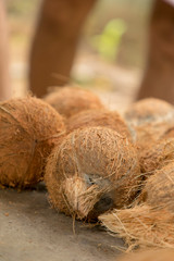 Pile of fresh peeled coconuts