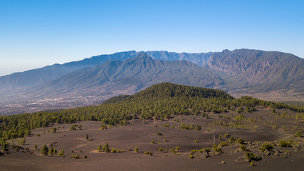 volcanic landscape and pine forest at astronomy viewpoint