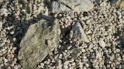 stone