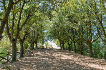 Montopoli castle hill. Tuscany, Italy.