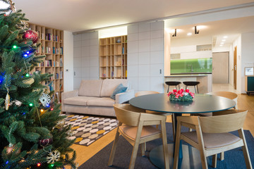 Library cabinet with sofa in contemporary living room interior