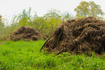 composting in filed to gain organic .fertilizer. One one to protect our plante