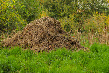 composting in filed to gain organic .fertilizer. One one to protect our plante