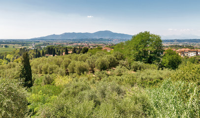 Fototapeta na wymiar View from the Montopoli hill. Tuscany, Italy.