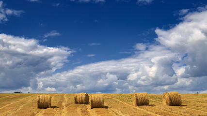 Yellow haystacks, field wheat, blue sky with clouds. Beautiful dynamic landscape on Sunny day. Beauty nature, agriculture and seasonal harvest time. Scenic agricultural land.