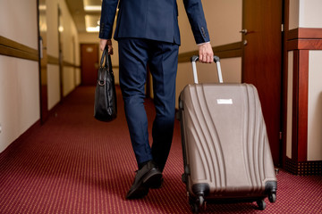 Rear view of elegant businessman with suitcase and handbag leaving hotel