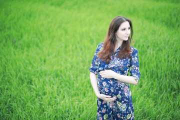 Naklejka na ściany i meble Pregnant girl in a dress in nature
