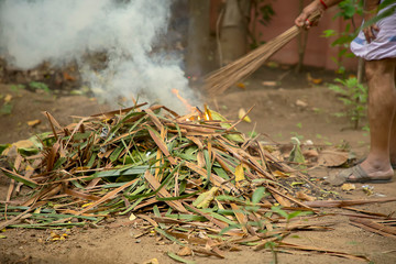 Man cleaning lawn in backyard under a tree Burning garbage. grass and leaves burns in the garden. Fire and Smoke from during Burning of garden waste. Garbage in fire.