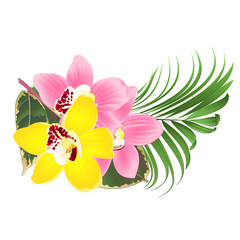 Tropical flowers  floral arrangement, with Orchid cymbidium pink and yellow  palm ficus  on a white background vintage vector editable hand draw