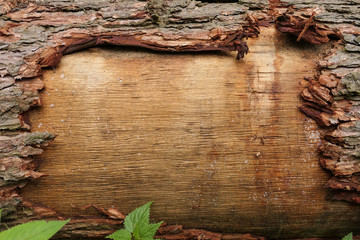 stamm eines baumes teilweise ohne rinde mit interessanter struktur und textur als hintergrund oder...