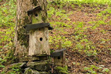 Nistkasten oder Vogelhaus für einheimische Vögel zum Schutz der Jungtiere und Eier