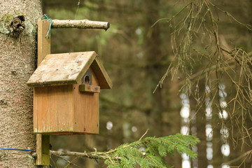 Nistkasten oder Vogelhaus für einheimische Vögel zum Schutz der Jungtiere und Eier