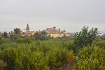 Obraz premium Cordoba Mesquite Mosque.