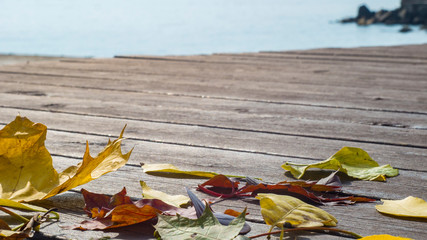 autumn colored leaves lie on a wooden promenade by the sea