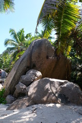 Obraz na płótnie Canvas Paradise beach on the seychelles