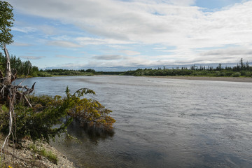 Northern taiga river in the Polar Urals.