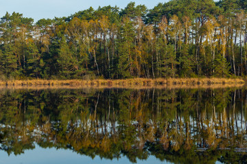 Autumn colors of trees by the lake