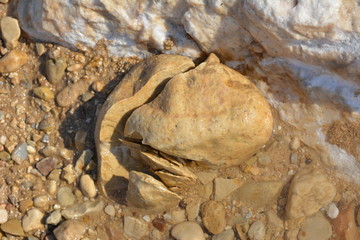 Broken heart of Dead Sea