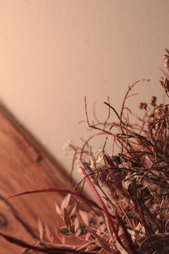 flowers on wooden background
