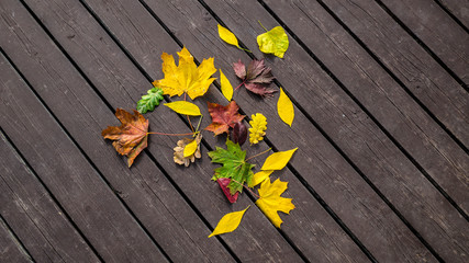 autumn colored leaves lie on a wooden promenade by the sea