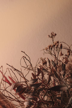 flowers on wooden background