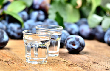 Shots of Slivovice - plum brandy, typical spirit from Czech Republic.