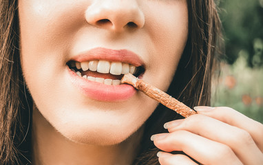 Obraz premium Beautiful girl cleans her healthy white teeth with eco miswak stick. Smiling woman uses organic toothbrush at nature. Traditional islamic\arabian teeth care with siwak.