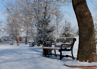 bench in the park in winter