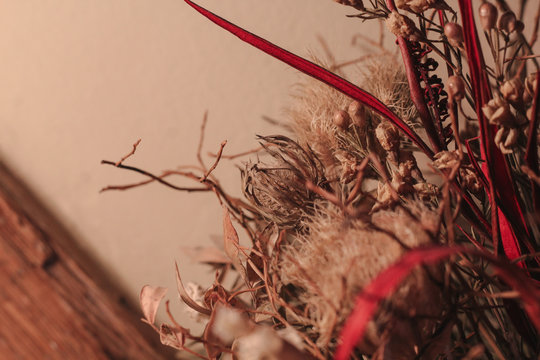 dry flowers on wooden background