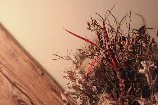 dry flowers on the wooden background