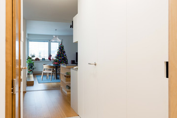 Entrance hall and living room of contemporary apartment