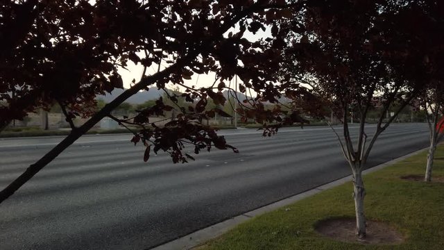 Walking and exploring the suburban landscapes during sunset golden hour!  