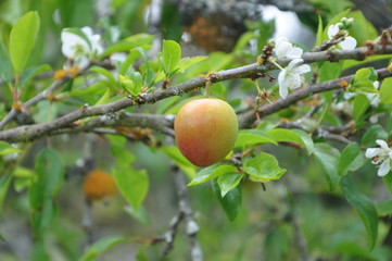Paisajes del departamento de Nariño Colombia