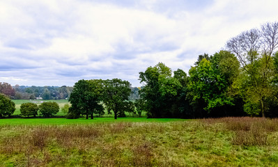 Fototapeta na wymiar View of water-meadow alongside the River Thames in Runnymede, Surrey, United Kingdom
