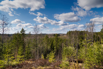 Fototapeta na wymiar Finland - spring landscape, a view from a hill on the Karelian forest