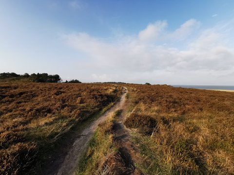 Braderuper Heide 