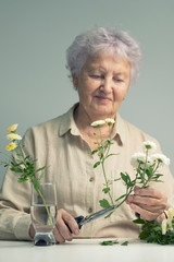 An elderly woman makes a bouquet of white autumn flowers retirement Lifestyle, Hobbies.