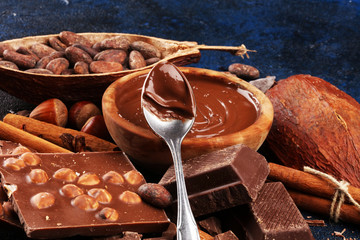 Chocolate bar pieces and melting swirl cocoa. Sweet food photo concept. The chunks of broken...