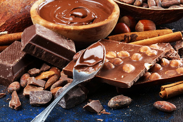 Chocolate bar pieces and melting swirl cocoa. Sweet food photo concept. The chunks of broken...