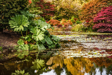 Obraz na płótnie Canvas Autumn in the park
