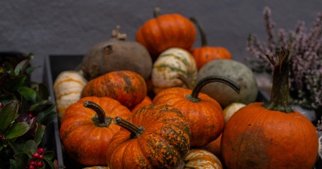 pumpkins in the market, pumpkins in a basket, several small pumpkins (horizontal image)
