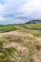 Obraz premium Moorland dry stone wall perspective