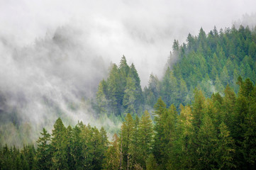 Rainforest Clouds in the Pacific Northwest. Clouds cascading down over the forest landscape on a beautiful autumn day in Washington state.