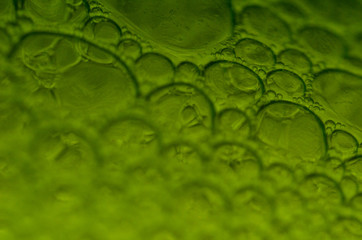 Green bubbles
