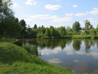 summer pond