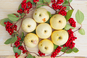 White apples and schisandra. Still life with ripe schizandra and apple