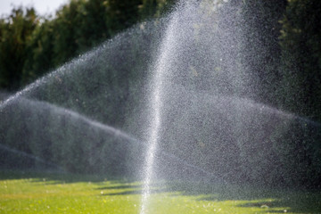 Watering green grass sprinkler.   Sprinkler with automatic system. Garden irrigation system watering lawn. 
