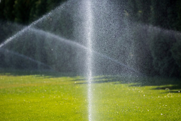 Watering green grass sprinkler.   Sprinkler with automatic system. Garden irrigation system watering lawn. 